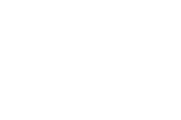 BAR 010